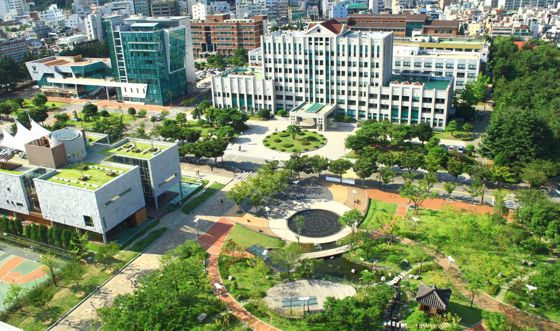 浦项科技大学的专业设置是怎么样的？