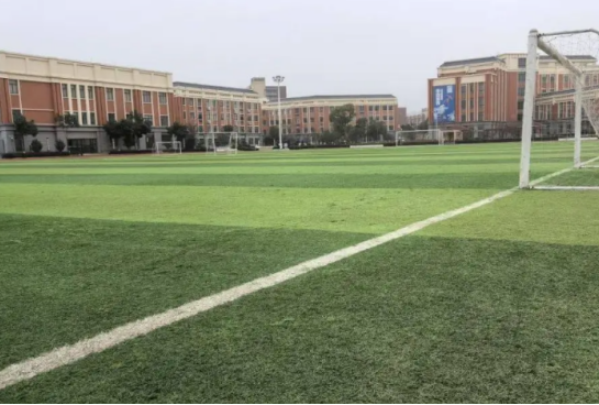 择校攻略：浅谈国际学校和体制内学校的差异