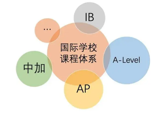 国际课程体系你有对比过嘛吗?