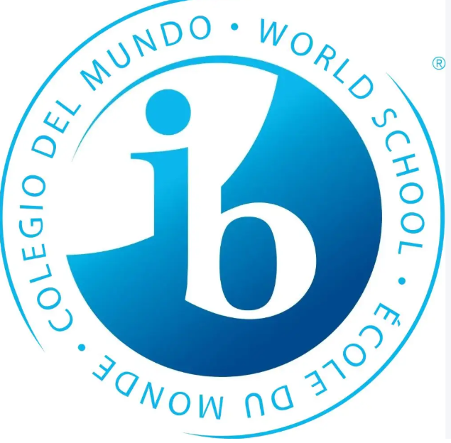 IB课程选课有哪些常见组合?